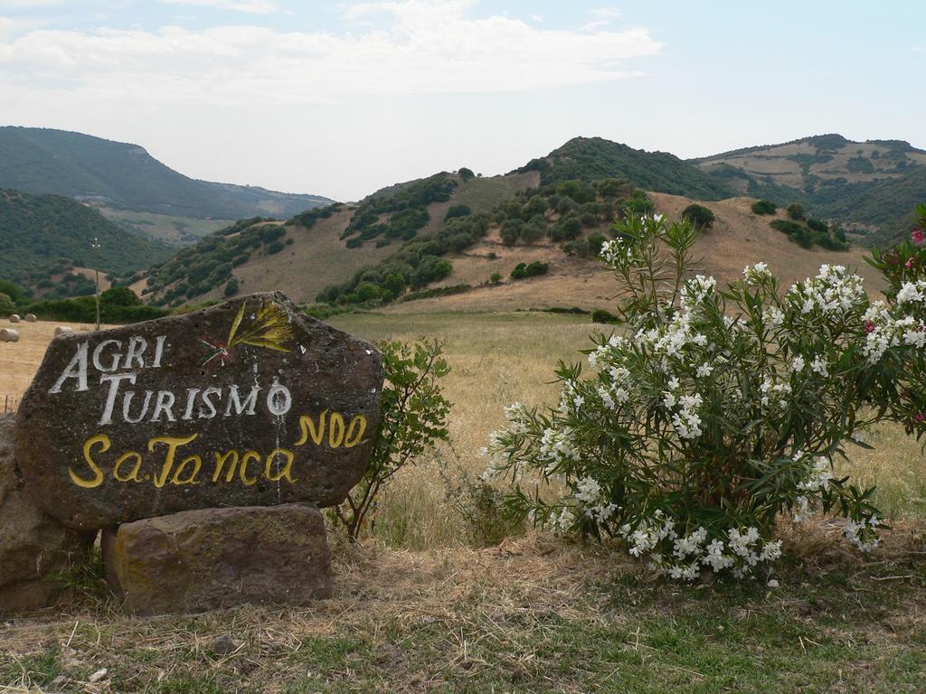 Agriturismo Sa Tanca Noa Tergu Eksteriør billede