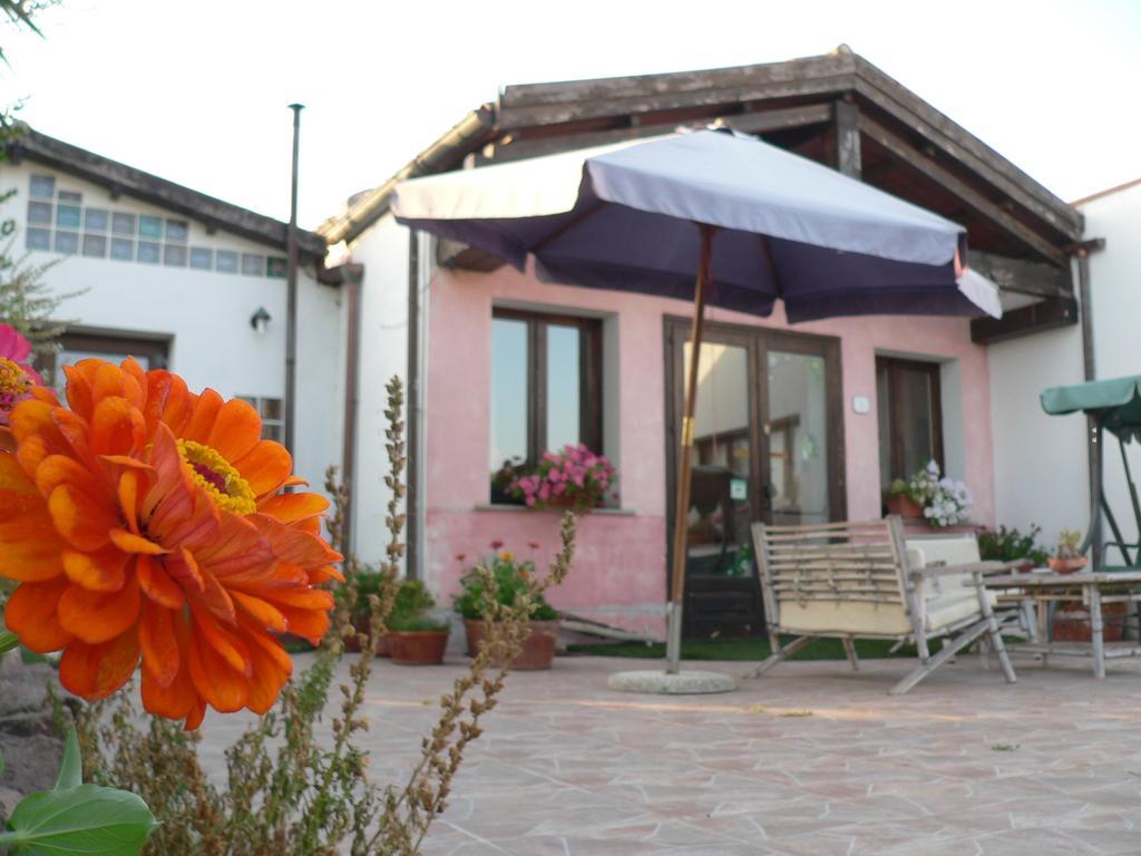 Agriturismo Sa Tanca Noa Tergu Eksteriør billede