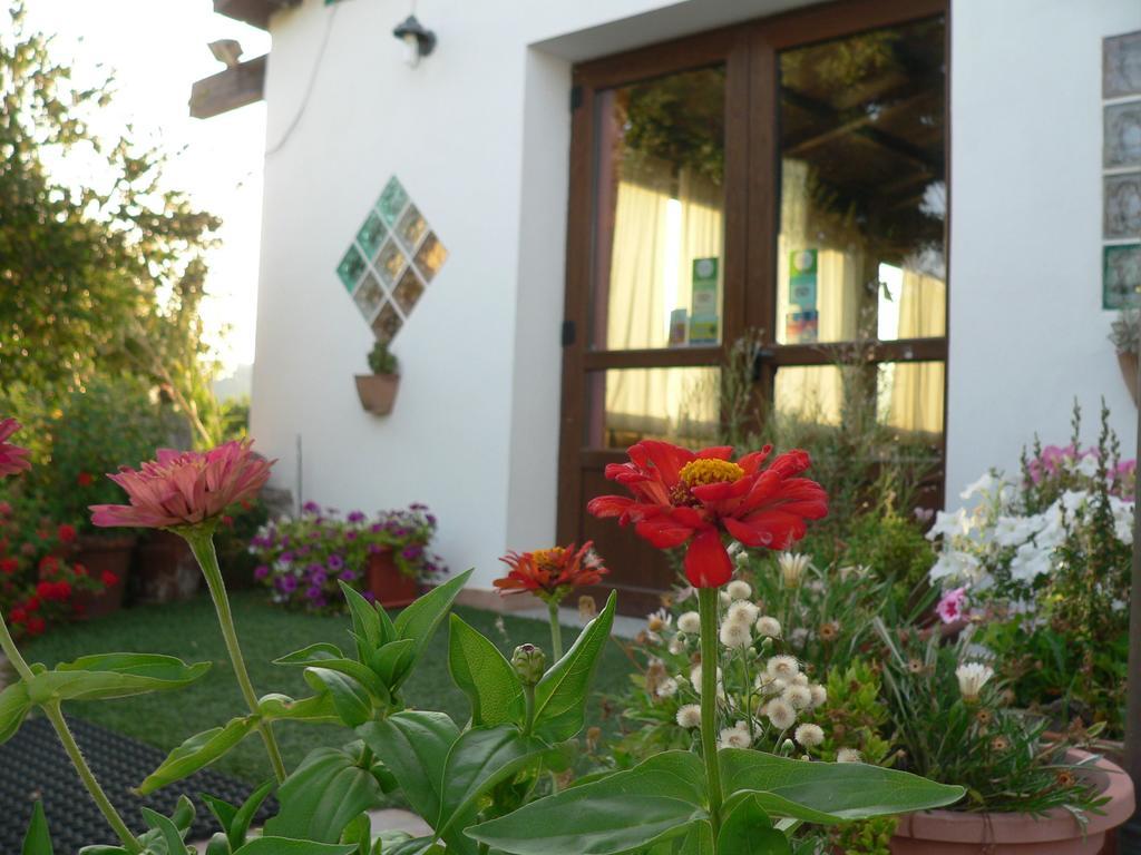 Agriturismo Sa Tanca Noa Tergu Eksteriør billede