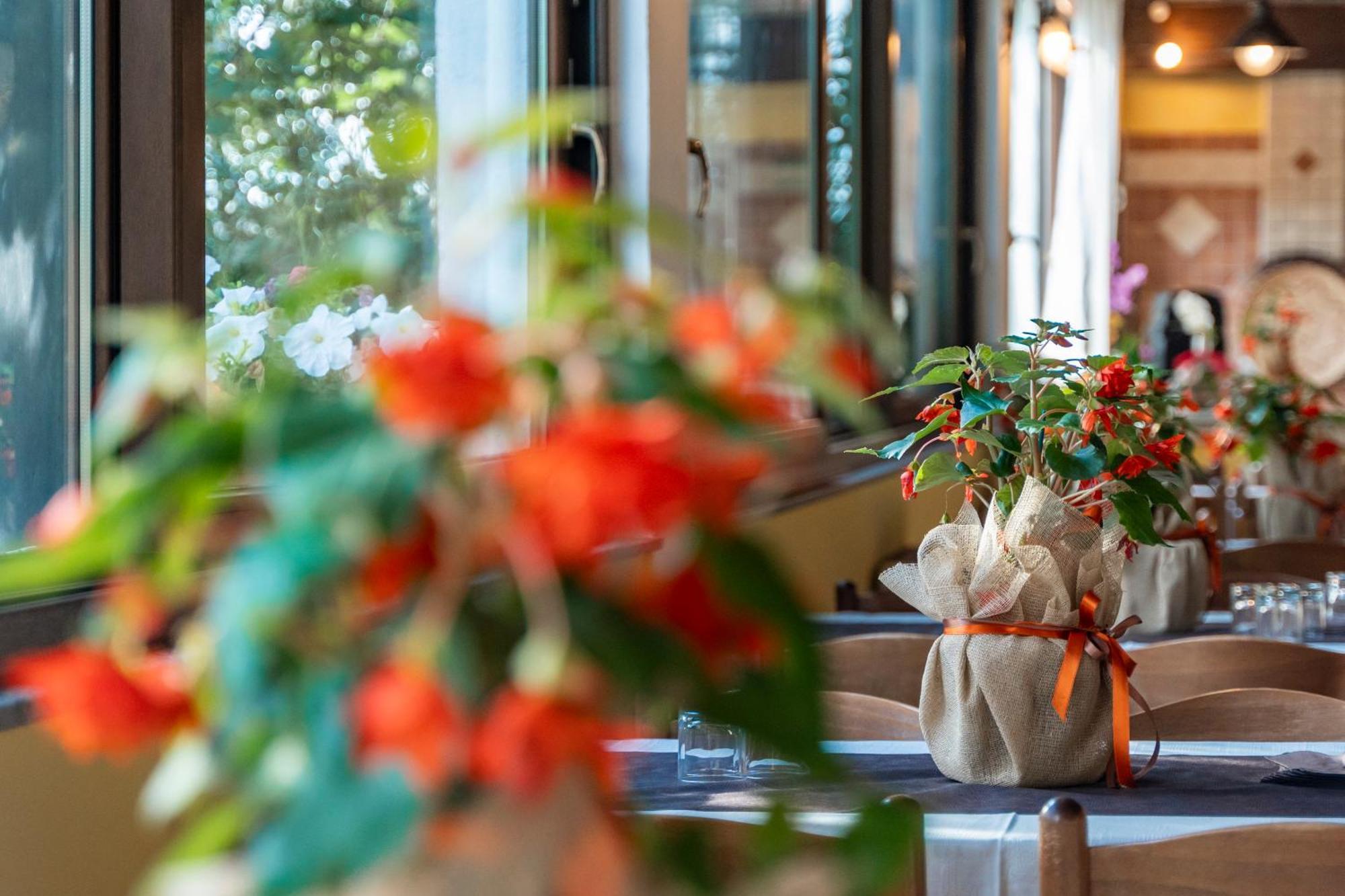 Agriturismo Sa Tanca Noa Tergu Eksteriør billede