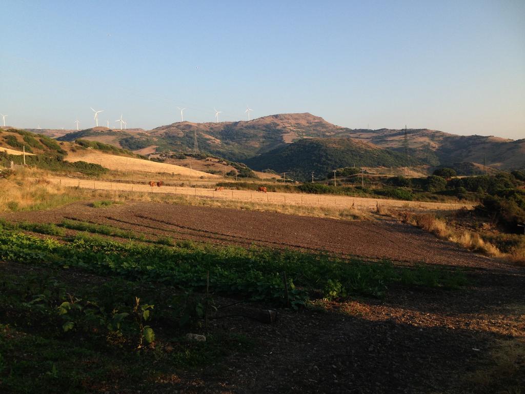 Agriturismo Sa Tanca Noa Tergu Eksteriør billede