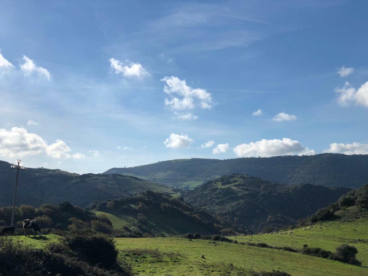 Agriturismo Sa Tanca Noa Tergu Eksteriør billede
