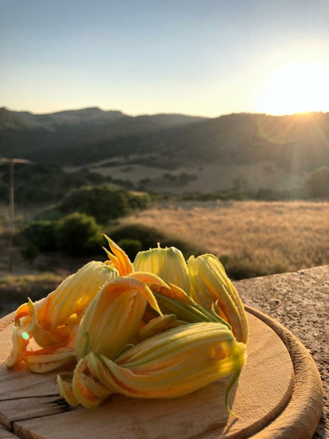 Agriturismo Sa Tanca Noa Tergu Eksteriør billede
